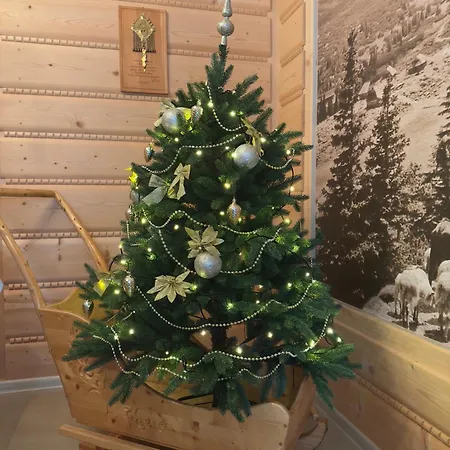 U Pawlikowskich Homestay Zakopane